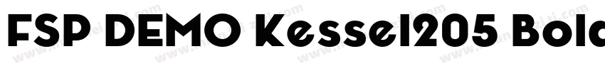 FSP DEMO Kessel205 Bold字体转换